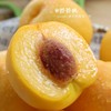 芒芒桃 油桃 商品缩略图5