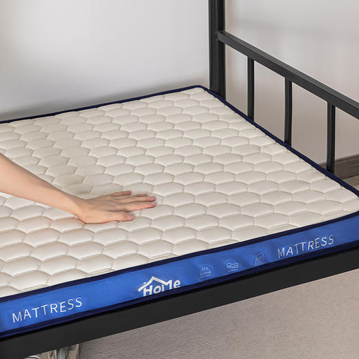 多喜爱美眠康  哈森乳胶记忆棉床垫5CM XS/S/L/XL四码齐全 商品图5