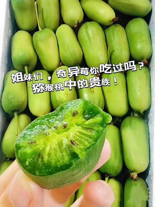 周五配送！vc小炸弹！vc含量高的水果，自带抗病虫害的特性，生长全程无农药干预！ 500克/盒 商品图0