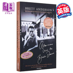预售 【中商原版】拉下百叶窗的午后 英文原版 Afternoons with the Blinds Drawn Brett Anderso