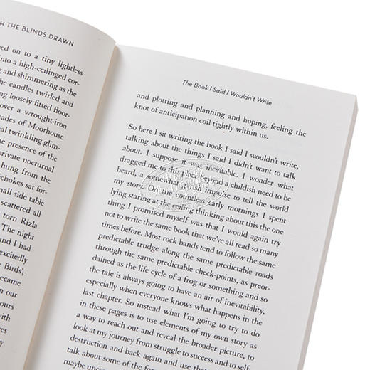 预售 【中商原版】拉下百叶窗的午后 英文原版 Afternoons with the Blinds Drawn Brett Anderso 商品图3