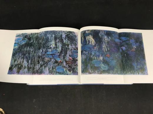 莫奈二十世纪画集 92幅彩色插图 部分为拉页可展开插图 平装大16开 商品图6