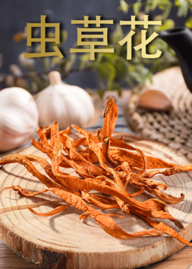 宜昌罐装神农架虫草花100G