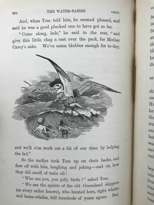 1895年 查尔斯·金斯利《水孩子》 100幅插图 漆布精装32开 商品图11