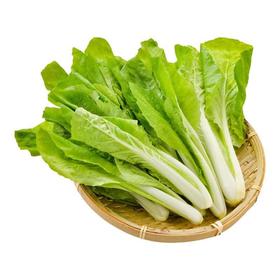 【央厨特惠】小白菜200g/份