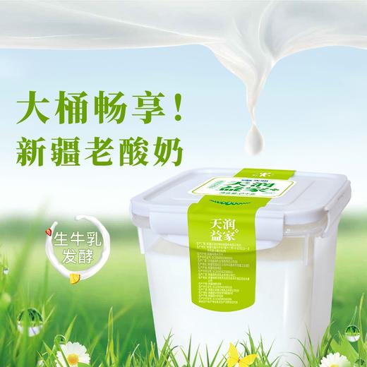 【2桶装】天润低温润康方桶原味/0蔗糖老酸奶1KG*2 商品图3