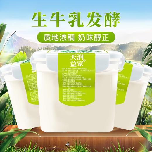 【2桶装】天润低温润康方桶原味/0蔗糖老酸奶1KG*2 商品图4