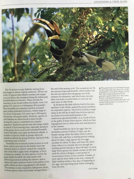 鸟类百科全书 350余幅彩色插图 精装大16开 商品图11