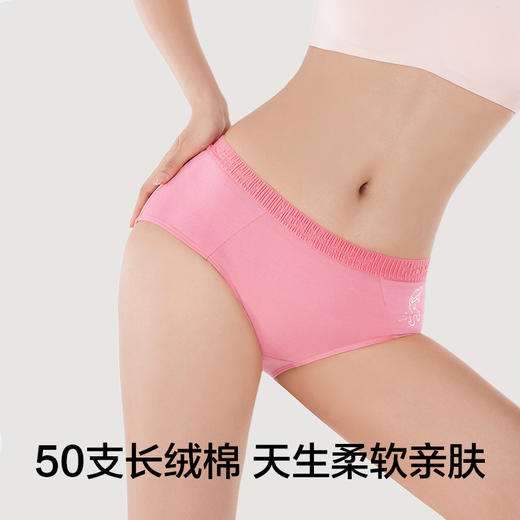 有棵树情侣款女士内裤2条装G-U3061 商品图4