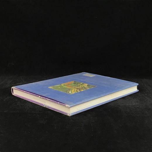 鸟类百科全书 350余幅彩色插图 精装大16开 商品图2