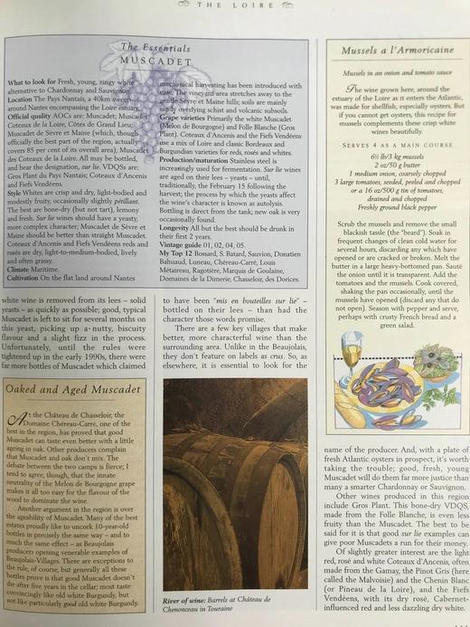 红酒完全百科全书 200余幅彩色插图 精装16开 商品图10