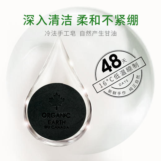 有机地球白柳皮竹炭深层洁肤皂75g【品牌直发】 A-298（效期27-7） 商品图4