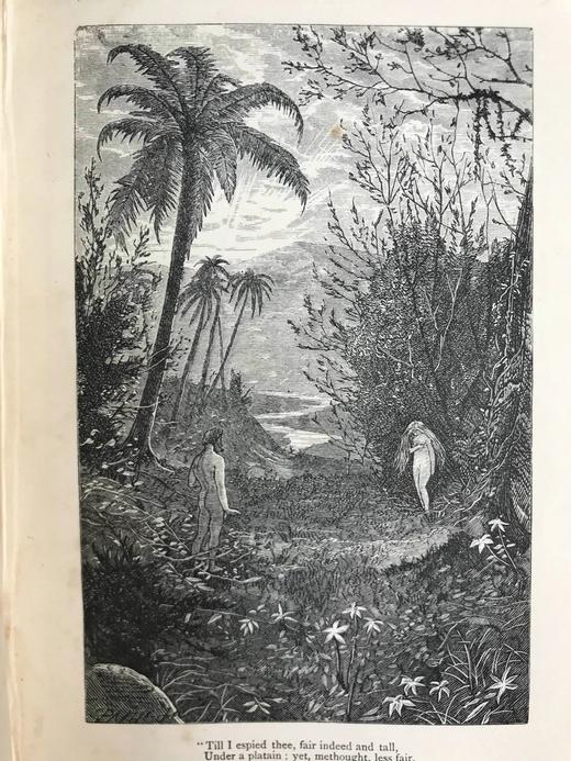 约19世纪后期 弥尔顿诗集 9幅插图 漆布精装32开 商品图6