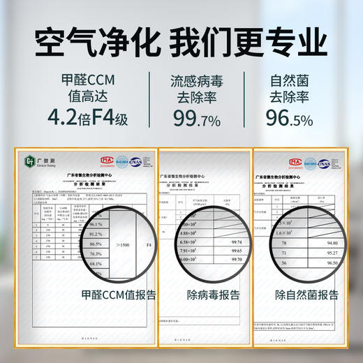 小在意除醛套装新房家用除醛机吸甲醛异味空气净化器除甲醛活性锰 商品图4