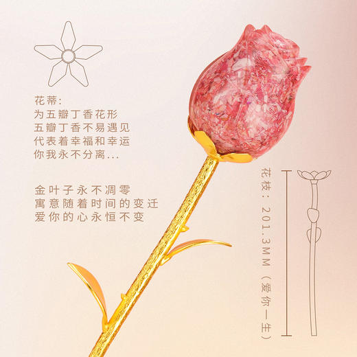 【南昌印钞】玫瑰花钞艺摆件（礼盒装） 商品图3