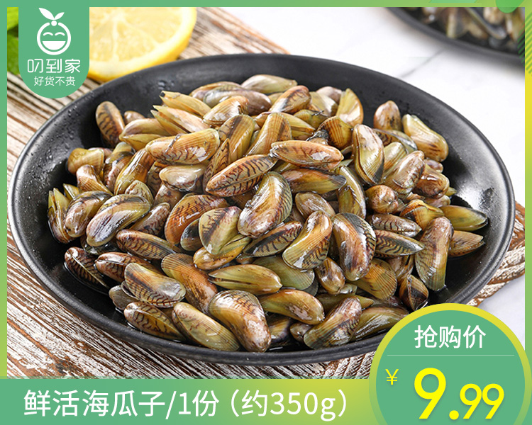 【叼鲜】鲜活海瓜子/1份（约350g）