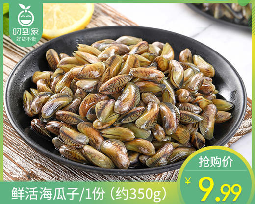 【叼鲜】鲜活海瓜子/1份（约350g） 商品图0