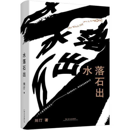 【作者亲签+铃印本】水落石出（一个人被交换的半生；他全部的努力，都没能完成普通生活） 商品图0