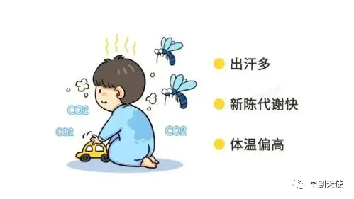 74bb6f2cfee08e9e065027641e3499a