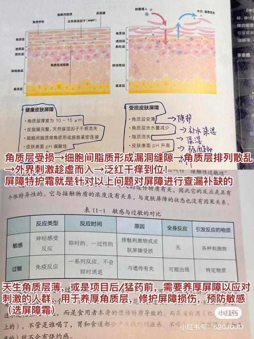 敏肌的守护神！薇诺娜舒敏特护霜15g/50g 商品图4