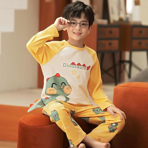 男童睡衣儿童套装春秋季纯棉长袖中大童小男孩宝宝秋款圆领家居服 商品图0