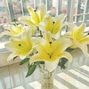 【木门百合】 百合 10支/扎 以实物为准 云南基地发货（价格已包含包装费用） 运费以实际为准，多退少补。 商品缩略图0