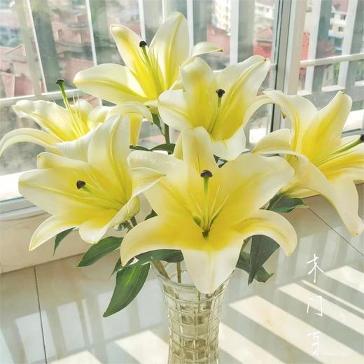【木门百合】 百合 10支/扎 以实物为准 云南基地发货（价格已包含包装费用） 运费以实际为准，多退少补。 商品图0