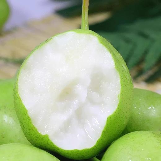 金花梨 500g//香甜可口 美味健康 商品图2