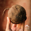 生态甜菜根（河南） | 合作生产*Eco-beetroots | Coproduction 商品缩略图1
