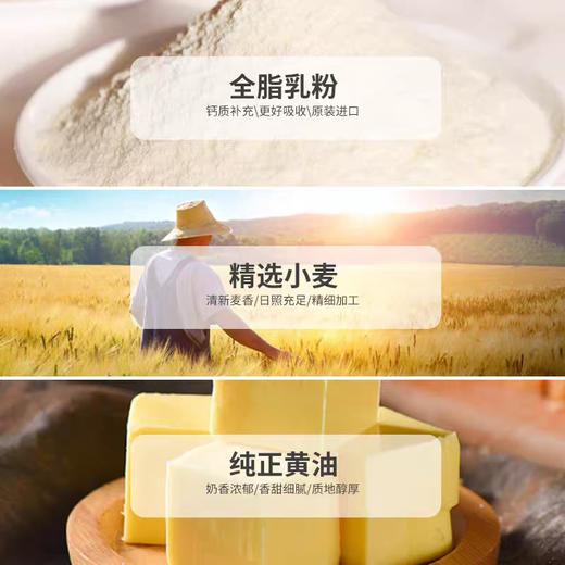 德国百乐顺布莱尼饼干黄油味200g 商品图1