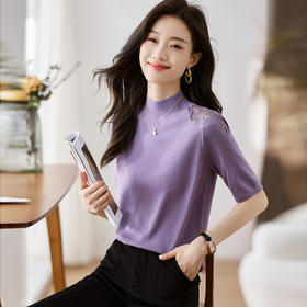 中袖上衣羊毛衫女新款，春秋季洋气网纱半高领毛衣内搭打底衫CC-LL-802