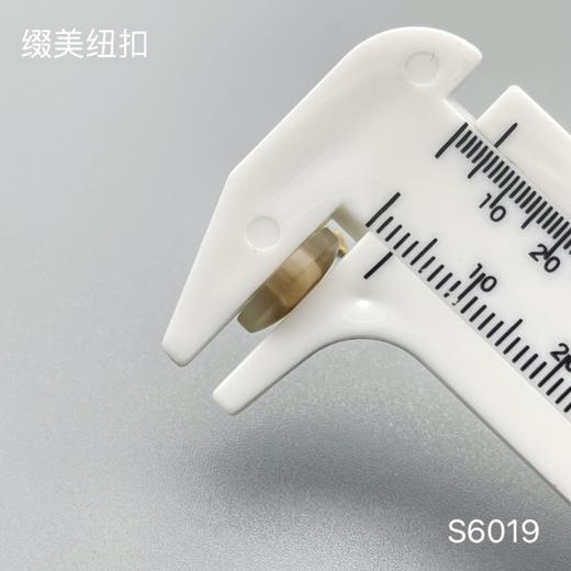 S6019(整包购买) 商品图5