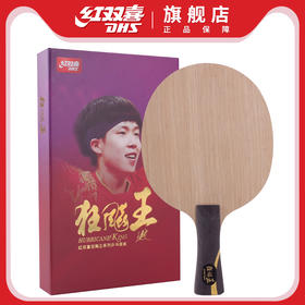 DHS新狂飚王-国家队王楚钦狂飙王碳素兵乓球底板