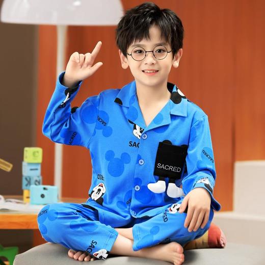男童睡衣长袖纯棉套装中大童开衫卡通可爱大男孩家居服秋季中学生 商品图1