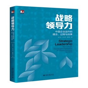战略领导力 中国企业运作的理念、过程与效果