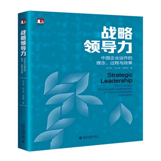 战略领导力 中国企业运作的理念、过程与效果 商品图0
