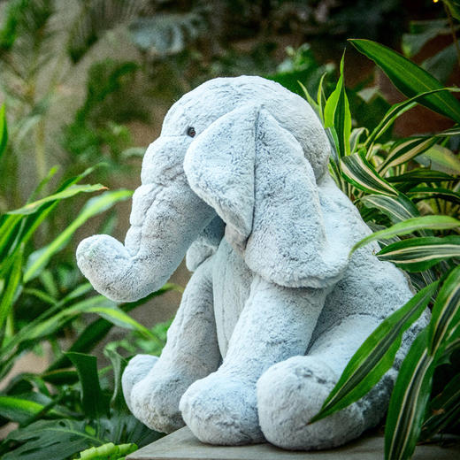 大号 | nmay 奢利小象 大号51*51cm 玩偶公仔儿童毛绒玩具宝宝安抚玩具 0岁+ 商品图2