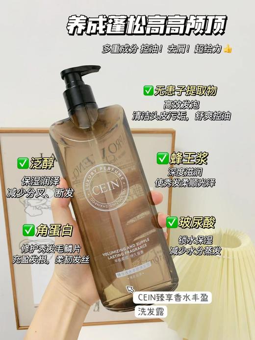 【洗护三件套！养成蓬松高高颅顶】CEIN臻享香水奢养洗护，深层清洁，滋润控油去屑，修复强韧秀发，持久留香 商品图5