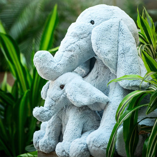 大号 | nmay 奢利小象 大号51*51cm 玩偶公仔儿童毛绒玩具宝宝安抚玩具 0岁+ 商品图1