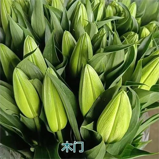 【木门百合】 百合 10支/扎 以实物为准 云南基地发货（价格已包含包装费用） 运费以实际为准，多退少补。 商品图1