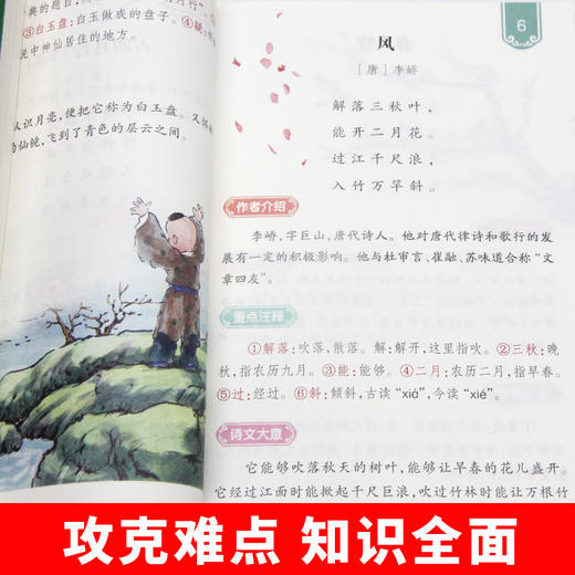 正版7本 《小学基础知识大全》小学知识大盘点语文数学英语写作专项训练基础知识点汇总升学考试册【提升学习】 商品图6