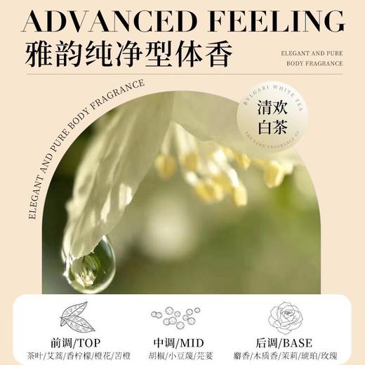 【洗护三件套！养成蓬松高高颅顶】CEIN臻享香水奢养洗护，深层清洁，滋润控油去屑，修复强韧秀发，持久留香 商品图2