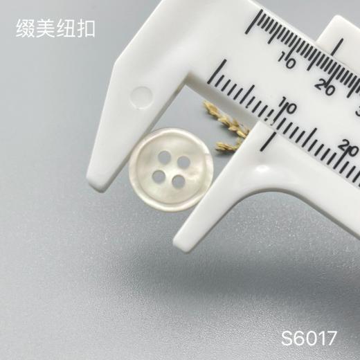 S6017(整包购买) 商品图5