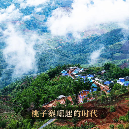 【会员周】2023年头春头采桃子寨终极巨作罕见派实力好茶茶农联合出品保真保纯拍5发6拍20发25集齐即可兑换马帮老票 商品图7