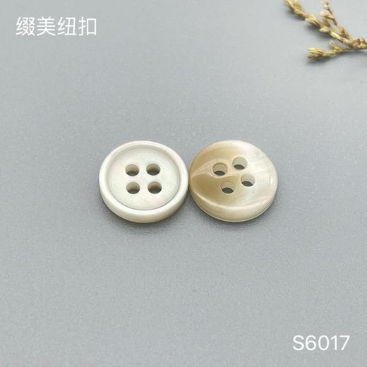 S6017(整包购买) 商品图1