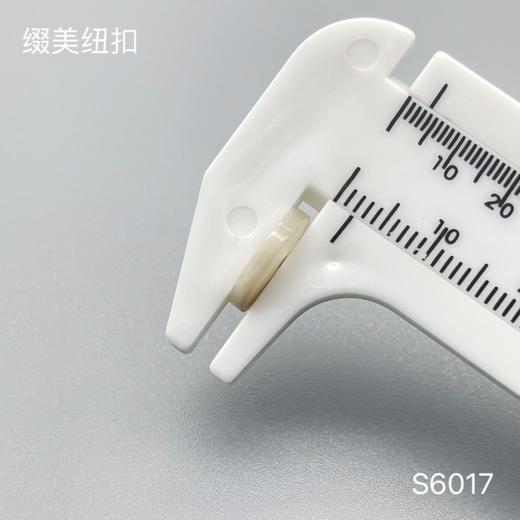 S6017(整包购买) 商品图6