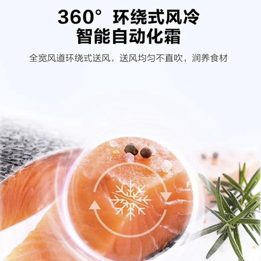 海尔（Haier）冰箱 BCD-468WGHTD5DSU 商品图4