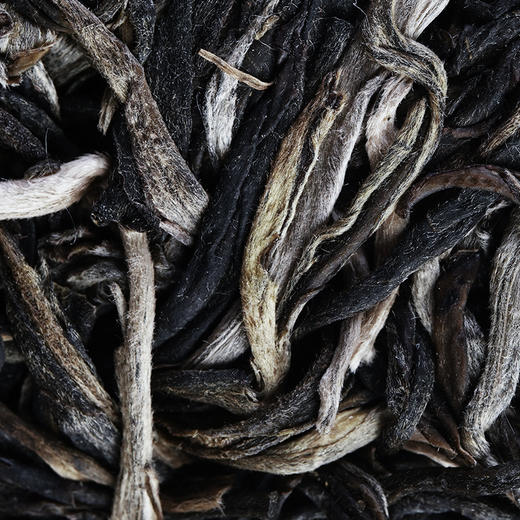 【最后1饼，售罄再无】【超值拼团秒杀】高货好茶【千秋万代】【无铜盒包装】2023年头春茶，易武六棵千年以上特大树拼配而制聚众山之荣成一茶之耀全网独一家错过再无 商品图3