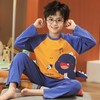 男童睡衣儿童套装春秋季纯棉长袖中大童小男孩宝宝秋款圆领家居服 商品缩略图2