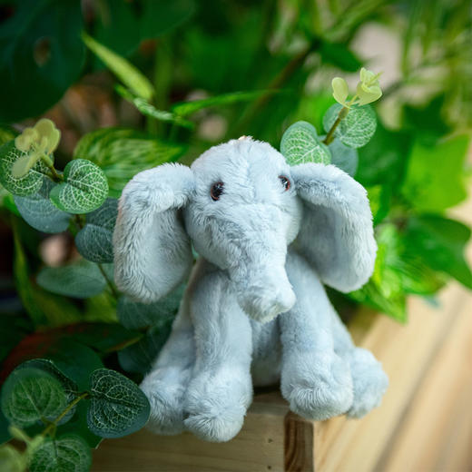 nmay 奢利小象 玩偶公仔儿童毛绒玩具宝宝安抚玩具0岁+ 商品图7